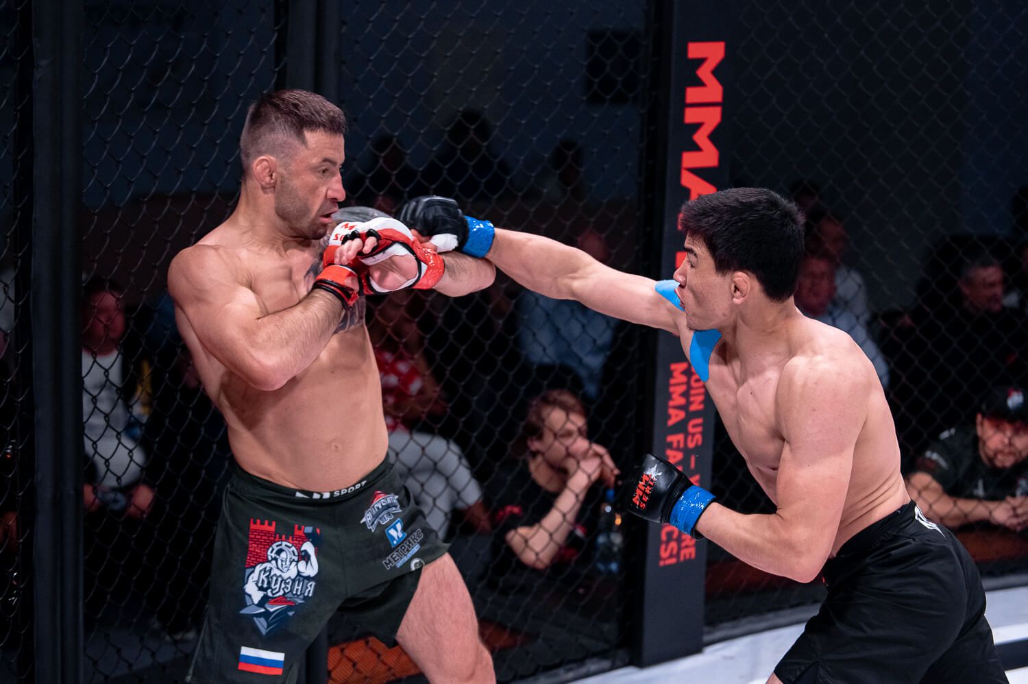 Борьба двух участников MMA